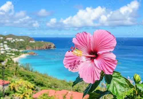Pink hibiscus blooms overlooking a tropical beach and ocean