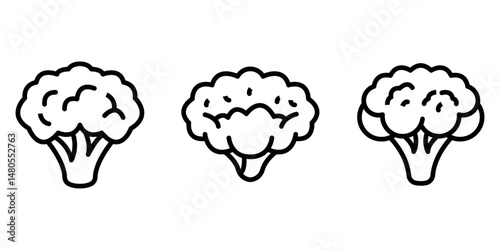 cauliflower outline or line icon design bundle.