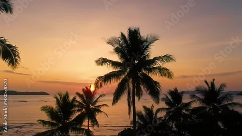Tropical sunset palm trees ocean view