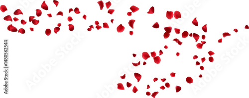 Decoration love day, greeting card with red rose petals floating wind line