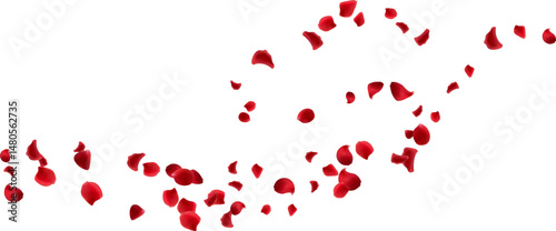 Flower floating wind line, rose petals flying isolated. Spa aroma