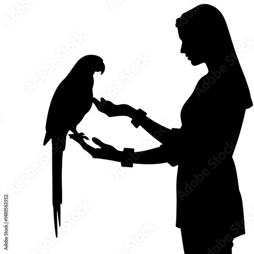 Silhouette of parrot on vet’s gloved hand, avian care concept in veterinary practice