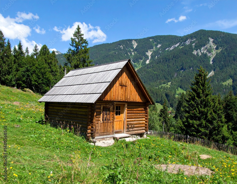 Obraz premium Simple Cabin in the Mountains