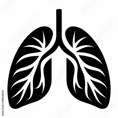 human lungs vector