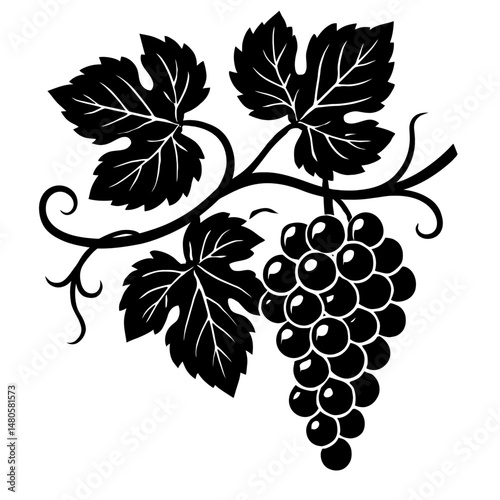 Black and White Illustration of Grapes on a Vine - Graphic Element for Nature, Fruit, or Design Themes