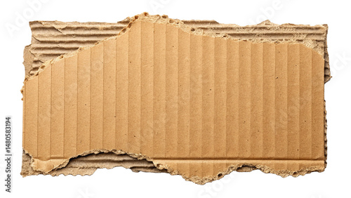 Torn cardboard piece with rugged edge and corrugated texture