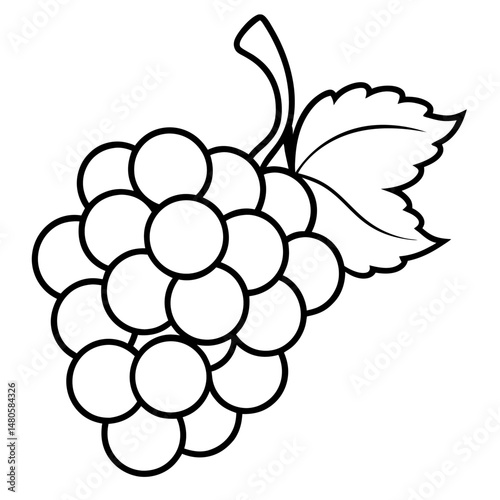 Stylized grape illustration in bold black lines on transparent background