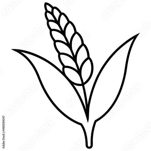 Stylized wheat illustration with detailed outlines and clear aesthetic elements