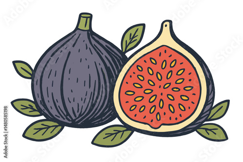 An eco-friendly food background featuring a hand-drawn sketch of a fig, presented as a vector illustration