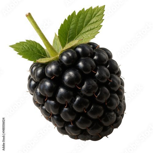 blackberry with leaf isolated on transparent or white background png
