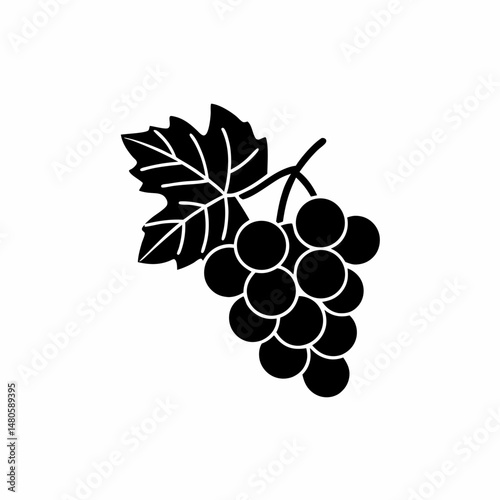creative details Outline silhouette Grapes flat simple icon vector illustration 