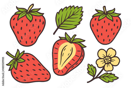 A hand drawn vintage sketch of strawberry berries is presented as a set, with a vector illustration focused on eco food