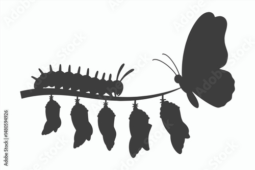 Caterpillar Transforming into Butterfly Life Cycle Illustration