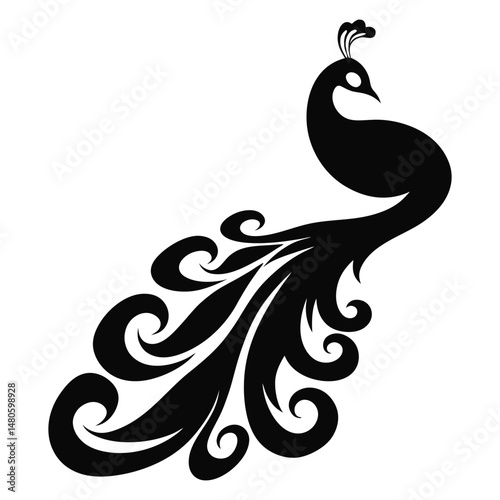 vector illustration of a peacock