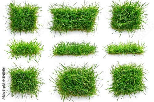 Collection of top view vibrant green grass patches isolate on white background