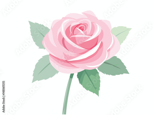 Rose Symbolism Meanings and Colors in Different Cultures