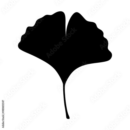 Silhouette of a Ginkgo Biloba Leaf, isolated on a white background