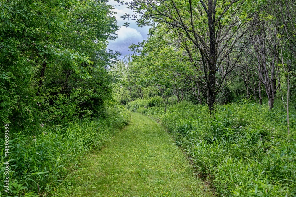 Naklejka premium Tessentee Bottomland Preserve - Franklin, NC