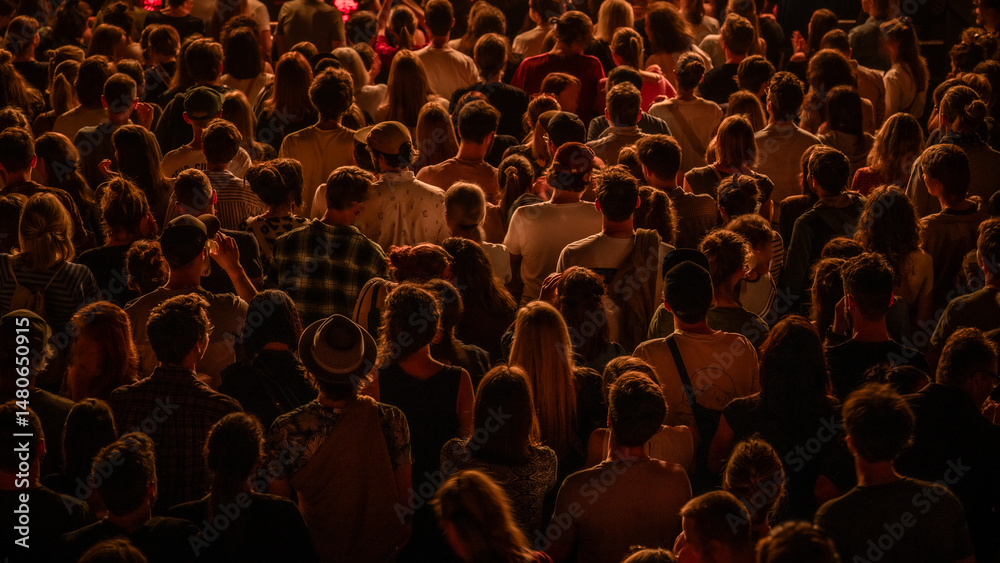 Obraz premium Audience at a live concert