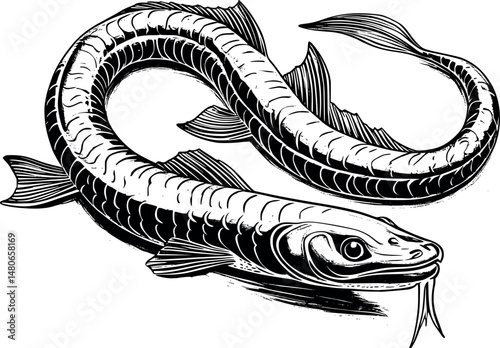 Engraved eel fish illustration with winding body vintage style on white
