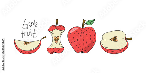 Apple, fruit. Set of slices and whole fruit with leaves. Vitamin natural vegetarian food, garden crop, harvest. Drawing, sketch, illustration on white isolated background.