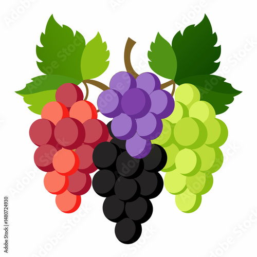 bunch of red grapes Vector icon illustration silhouette Graphics design image white background