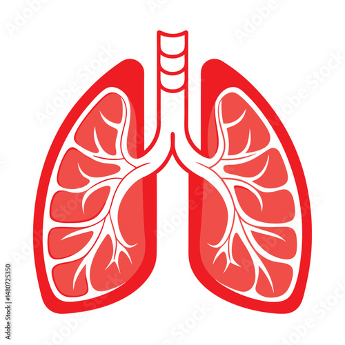 Human lungs depicted with red organ boundaries and white air passages on a white backdrop