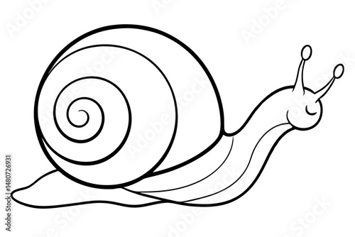 snail on white background