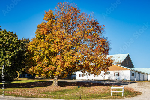 Ontario autumn countryside scene with old country wooden barn.