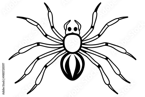 spider silhouette line art vector illustration with a white background