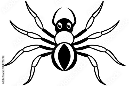 spider silhouette line art vector illustration with a white background