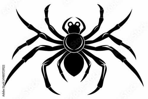 spider silhouette line art vector illustration with a white background