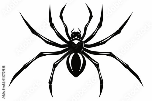 spider silhouette line art vector illustration with a white background