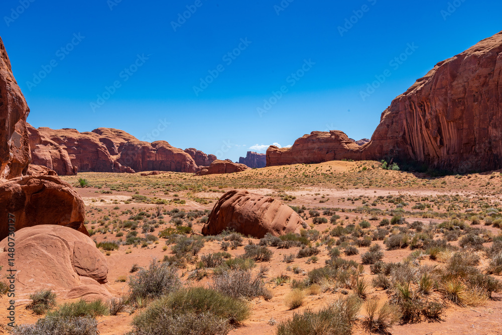 Fototapeta premium Sleeping Dragon Rock Formation Within Monument Valley Arizona