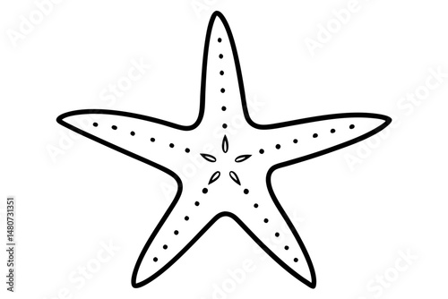 starfish silhouette line art vector illustration with a white background
