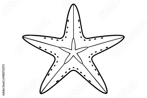 starfish silhouette line art vector illustration with a white background