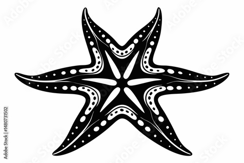 starfish silhouette line art vector illustration with a white background