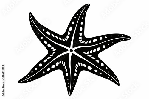 starfish silhouette line art vector illustration with a white background