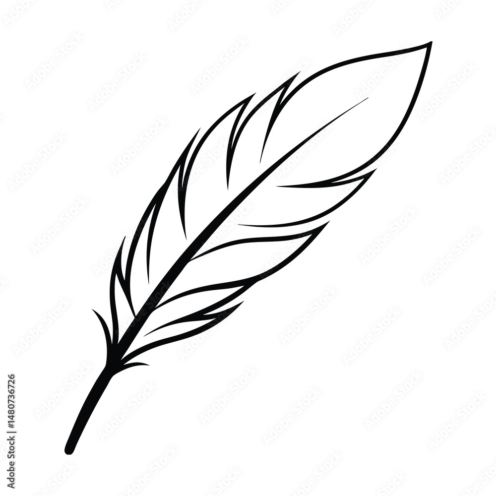 Obraz premium feather accent decoration line art vector