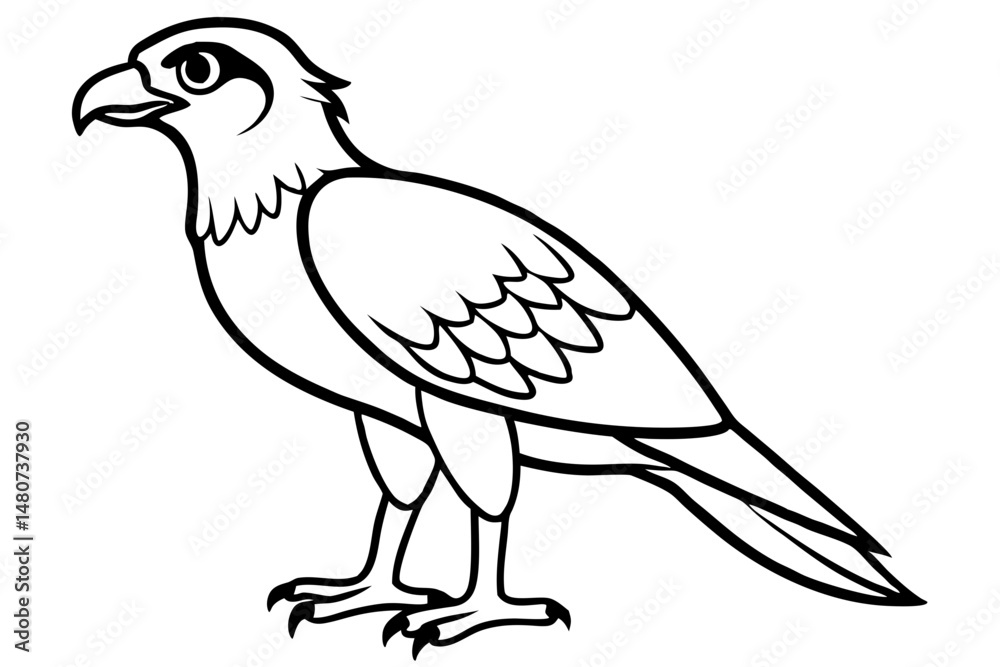 Fototapeta premium osprey silhouette line art vector illustration with a white background