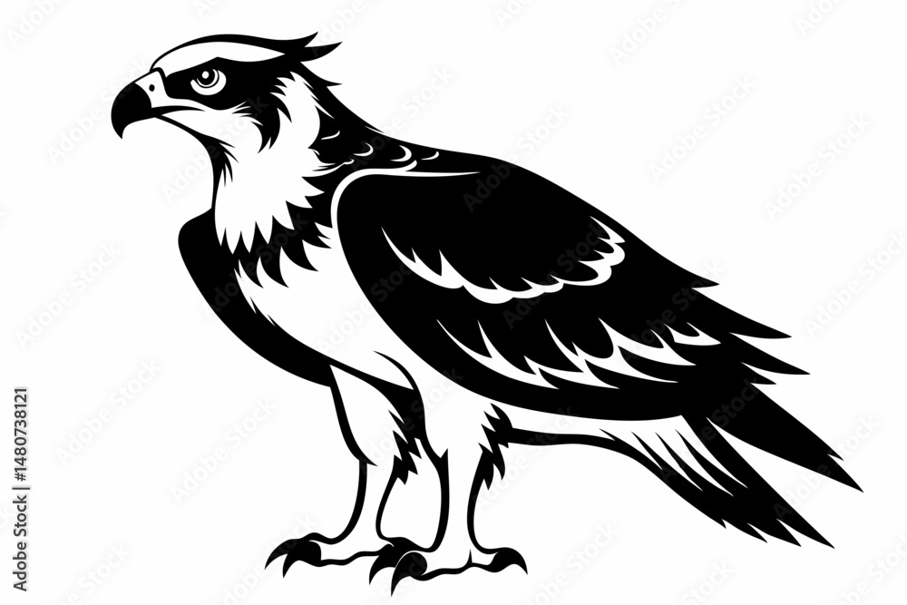 Obraz premium osprey silhouette line art vector illustration with a white background