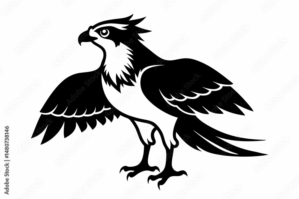Fototapeta premium osprey silhouette line art vector illustration with a white background