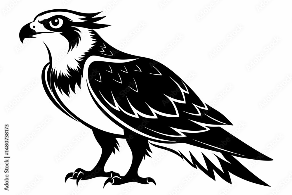 Fototapeta premium osprey silhouette line art vector illustration with a white background