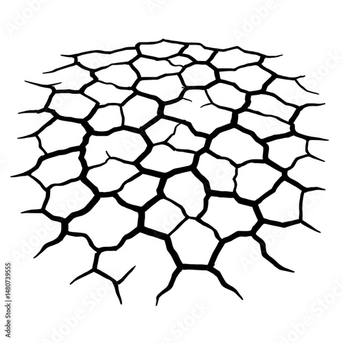 Dramatic Black and White Cracked Earth in Bold Lines Vector - Powerful Illustration of Earth Fractures for Destruction, Natural Disaster, and Apocalyptic Designs