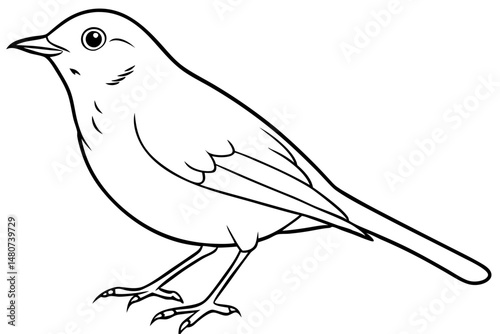 robin silhouette line art vector illustration with a white background