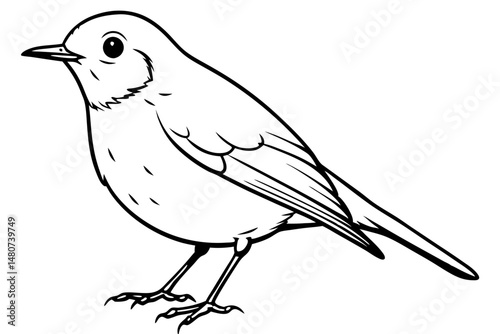 robin silhouette line art vector illustration with a white background