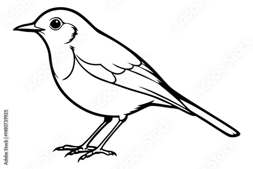 robin silhouette line art vector illustration with a white background