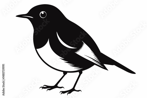 robin silhouette line art vector illustration with a white background
