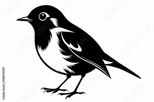 robin silhouette line art vector illustration with a white background