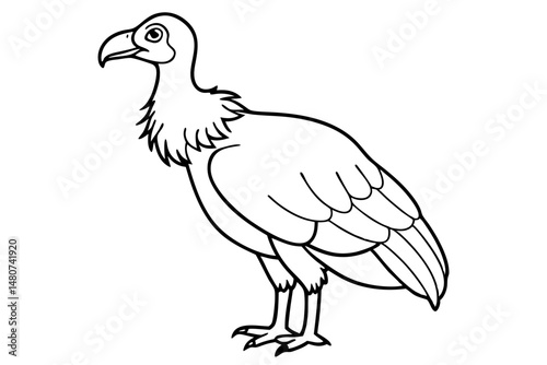 vulture silhouette line art vector illustration with a white background